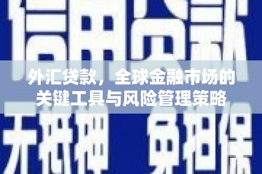 梓官外汇贷款，全球金融市场的关键工具与风险管理策略