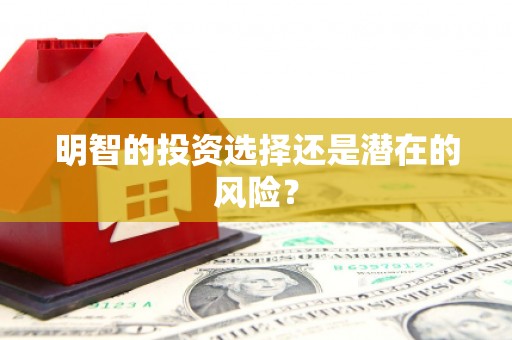 梓官明智的投资选择还是潜在的风险？