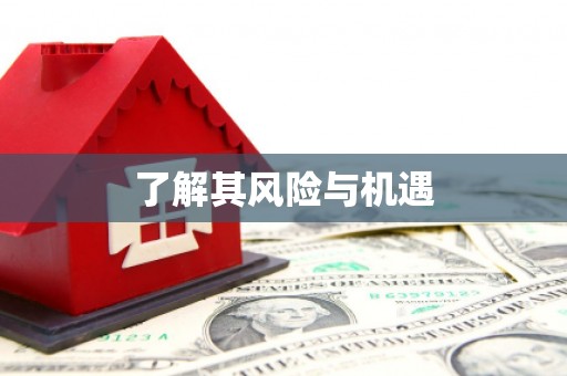 梓官了解其风险与机遇