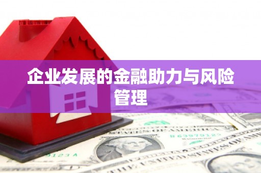 梓官企业发展的金融助力与风险管理