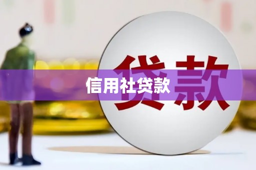梓官信用社贷款