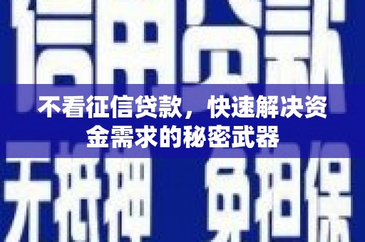 梓官不看征信贷款，快速解决资金需求的秘密武器