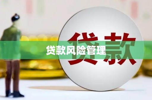 梓官贷款风险管理