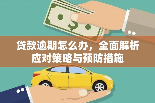 梓官贷款逾期怎么办，全面解析应对策略与预防措施