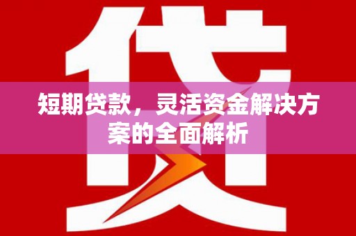 梓官短期贷款，灵活资金解决方案的全面解析