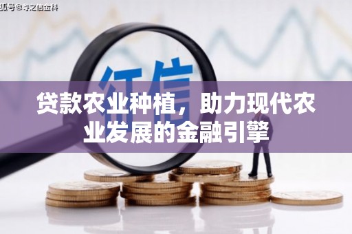 梓官贷款农业种植，助力现代农业发展的金融引擎