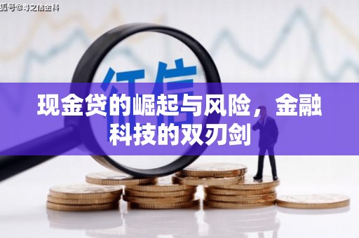 梓官现金贷的崛起与风险，金融科技的双刃剑