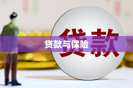 梓官贷款与保险