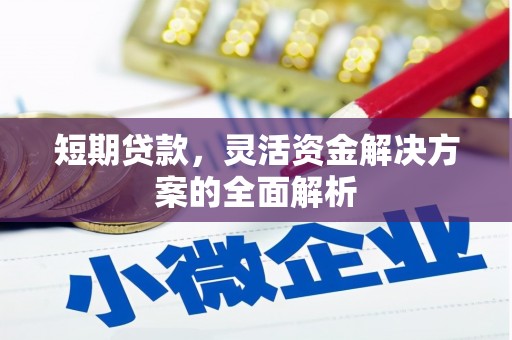 梓官短期贷款，灵活资金解决方案的全面解析