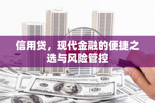 梓官信用贷，现代金融的便捷之选与风险管控
