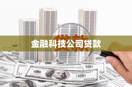 梓官金融科技公司贷款