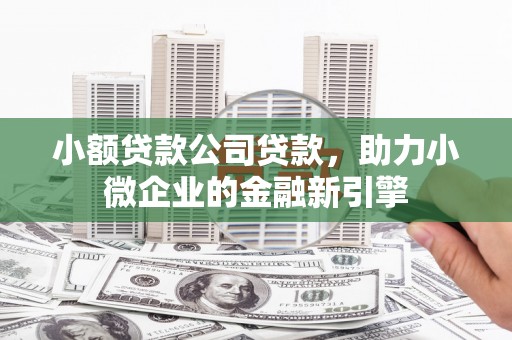 梓官小额贷款公司贷款，助力小微企业的金融新引擎