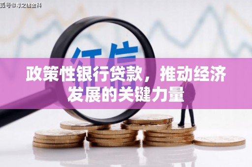 梓官政策性银行贷款，推动经济发展的关键力量