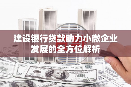 梓官建设银行贷款助力小微企业发展的全方位解析