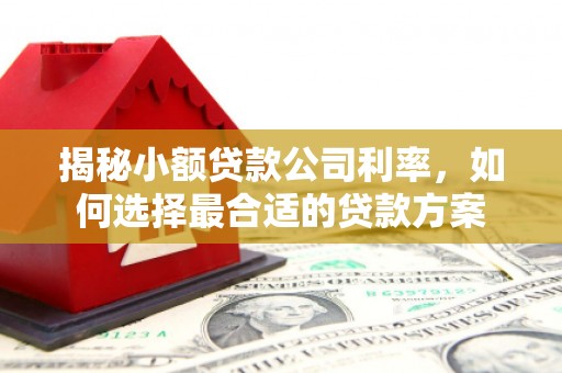 梓官揭秘小额贷款公司利率，如何选择最合适的贷款方案