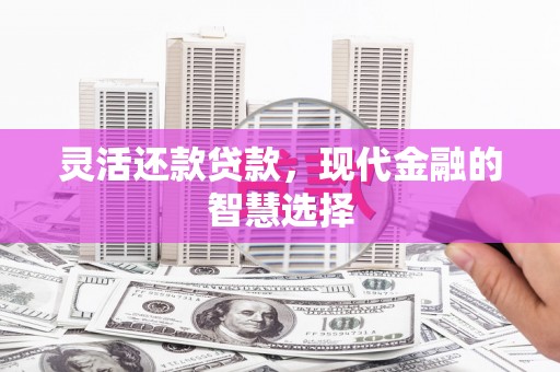梓官灵活还款贷款，现代金融的智慧选择