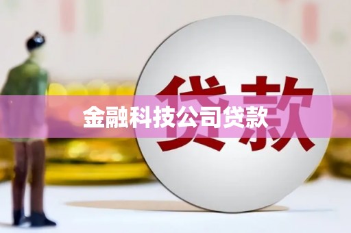 梓官金融科技公司贷款