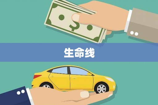 梓官生命线