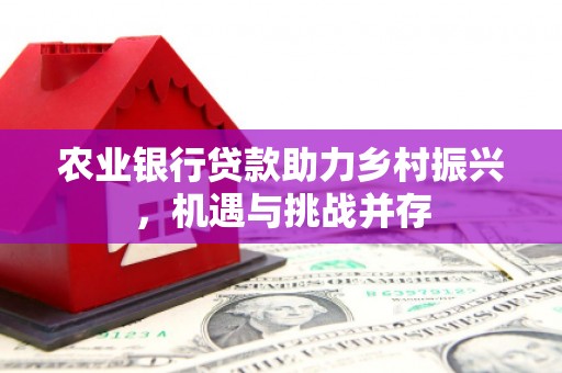 梓官农业银行贷款助力乡村振兴，机遇与挑战并存
