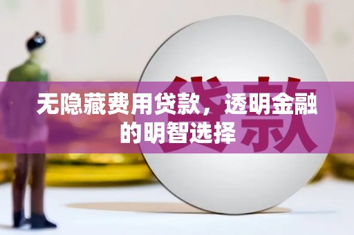 梓官无隐藏费用贷款，透明金融的明智选择