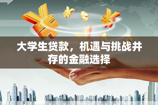 梓官大学生贷款，机遇与挑战并存的金融选择