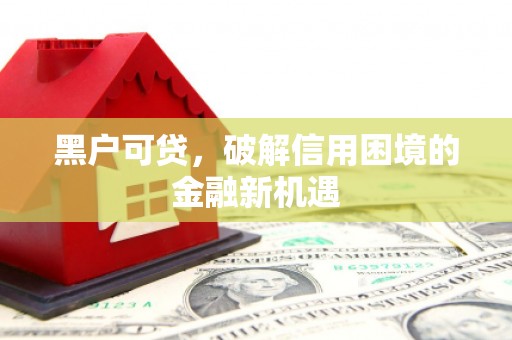 梓官黑户可贷，破解信用困境的金融新机遇