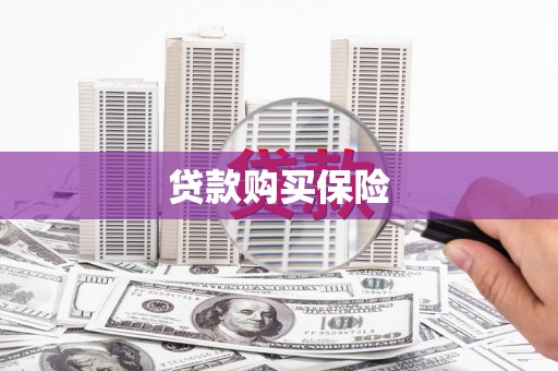 梓官贷款购买保险