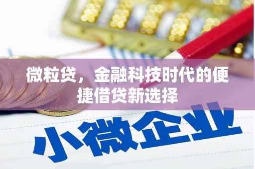 梓官微粒贷，金融科技时代的便捷借贷新选择