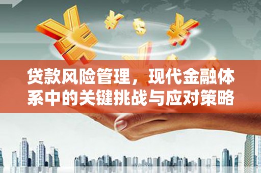 梓官贷款风险管理，现代金融体系中的关键挑战与应对策略