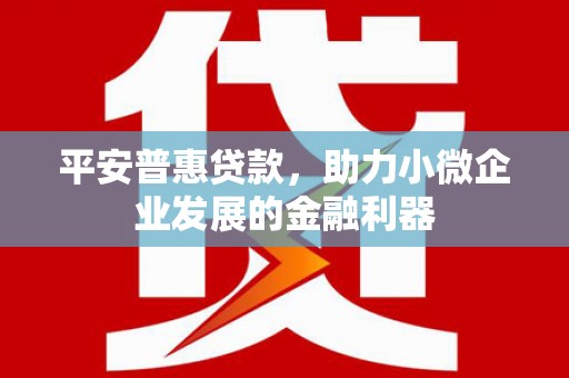 梓官平安普惠贷款，助力小微企业发展的金融利器