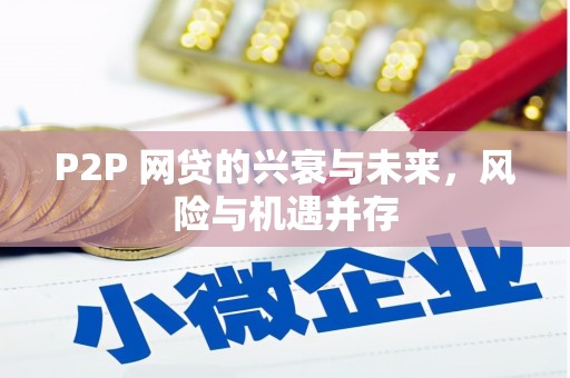梓官P2P 网贷的兴衰与未来，风险与机遇并存