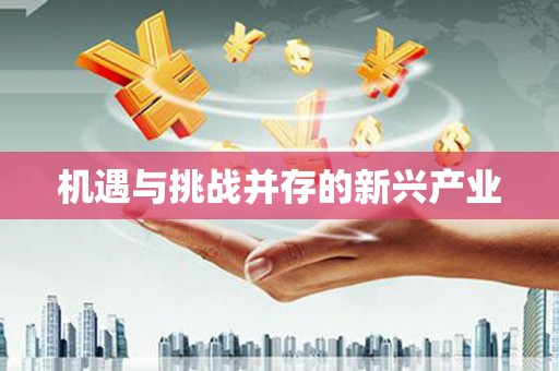 梓官机遇与挑战并存的新兴产业