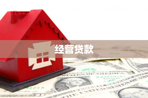 梓官经营贷款